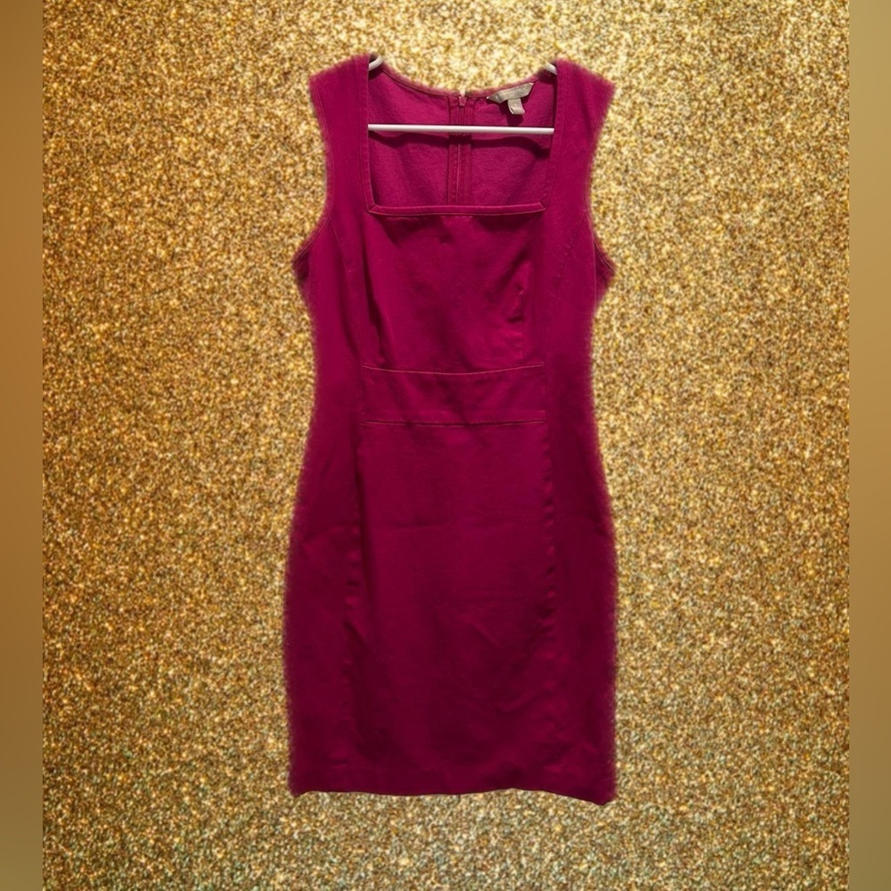 Banana Republic Fuchsia‎ Sleeveless Stretch Sheath Dress Size 6 (0193)